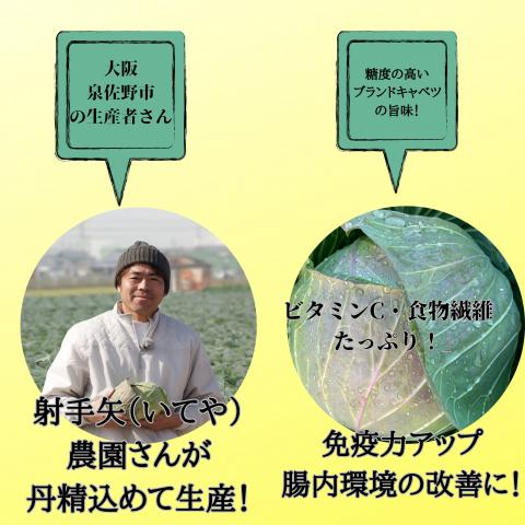 泉州キャベツキムチ　国産大豆100%“京きな粉”使用　