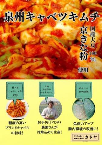 【送料無料】【期間限定】泉州キャベツキムチとキムチ・韓国珍味のセット